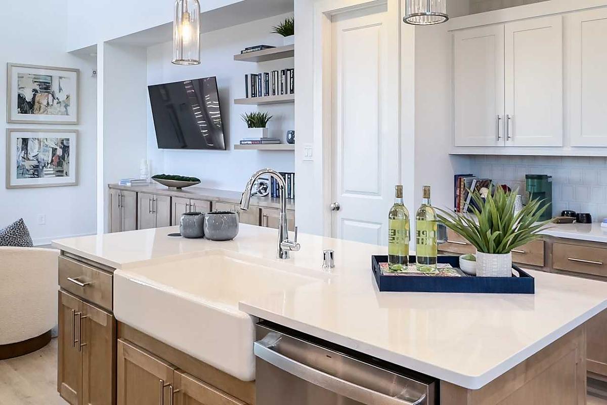 Plan Bellini Floor Plan at Talia Master-Planned Community Photo 15