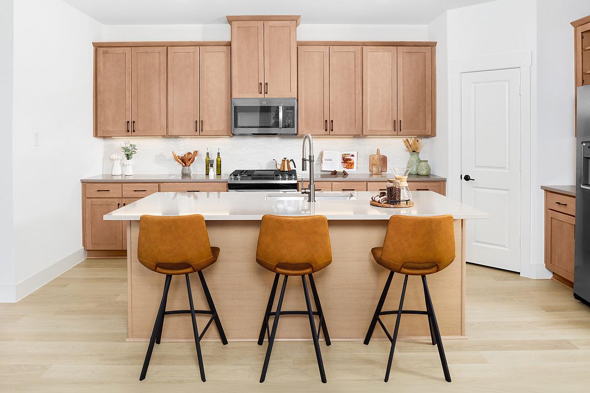 Austin - Modern Floor Plan at Talia Master-Planned Community Photo 1